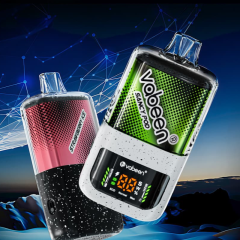 Vabeen Sancy Pod -Cartridge