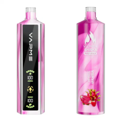 Vapme Shisha Pro Max 20000