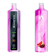 Vapme Shisha Pro Max 20000