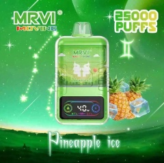 MRVI Moving 25000