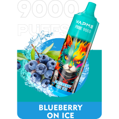 Vapme Fire 9000