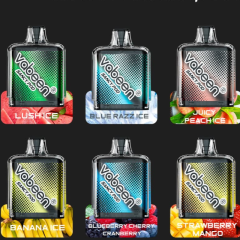 Vabeen Sancy Pod -Cartridge