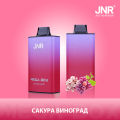 JNR Mega Box 25000 puffs