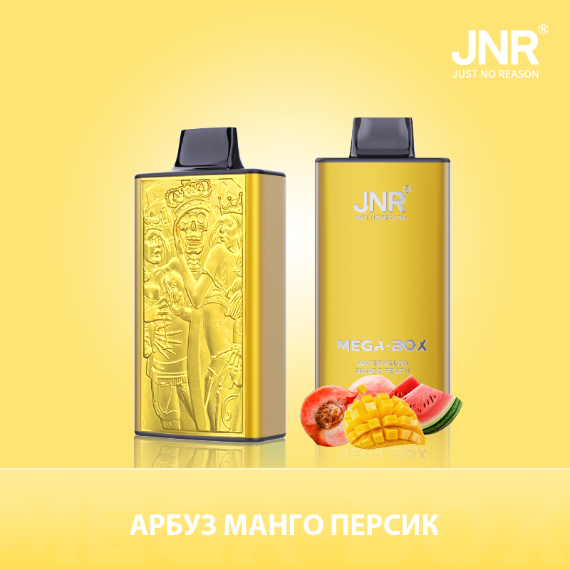 JNR Mega Box 25000 puffs