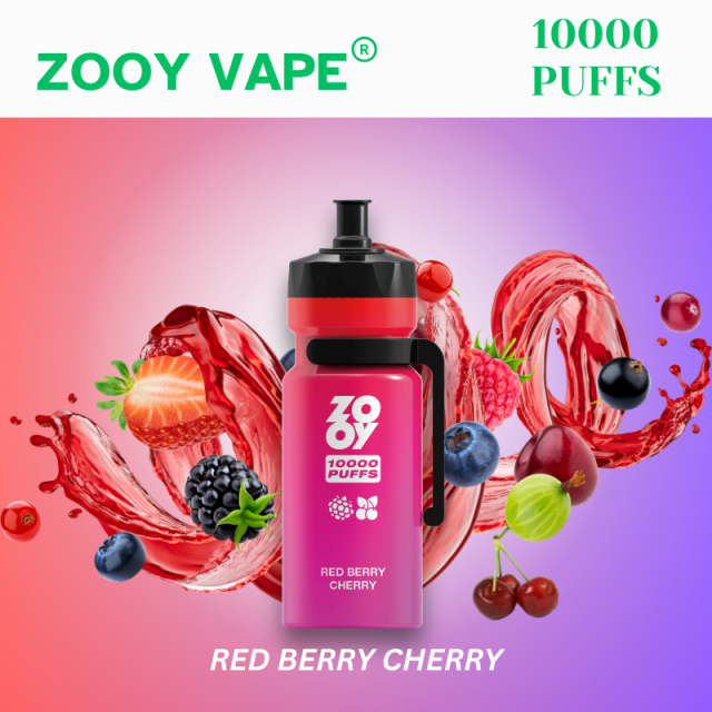 Zooy Kettle 10000