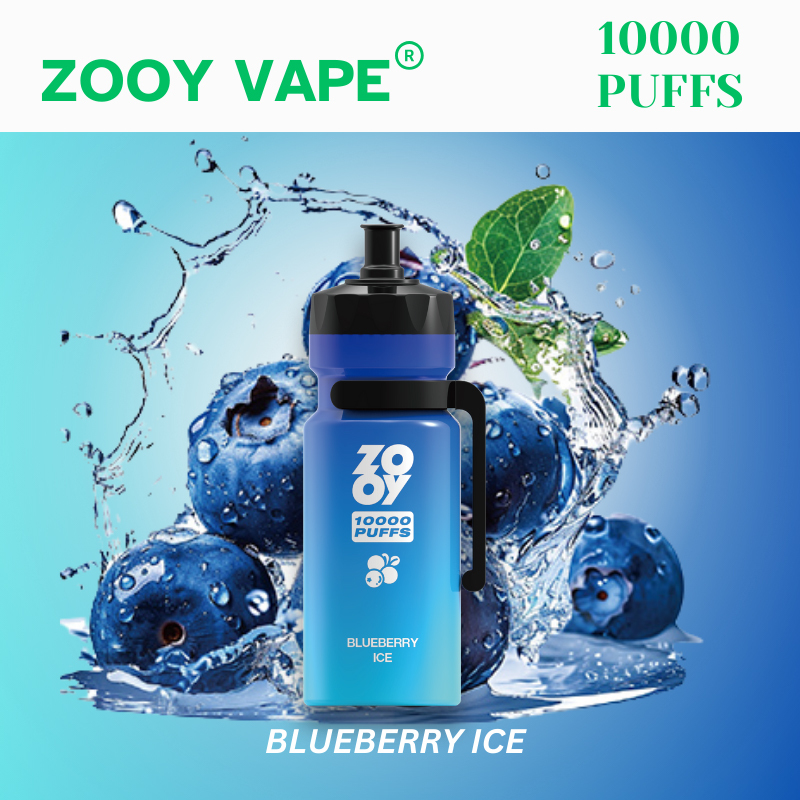 Zooy Kettle 10000