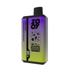 ZOOY MAX Dual flavors 30000
