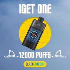 Iget One 12000