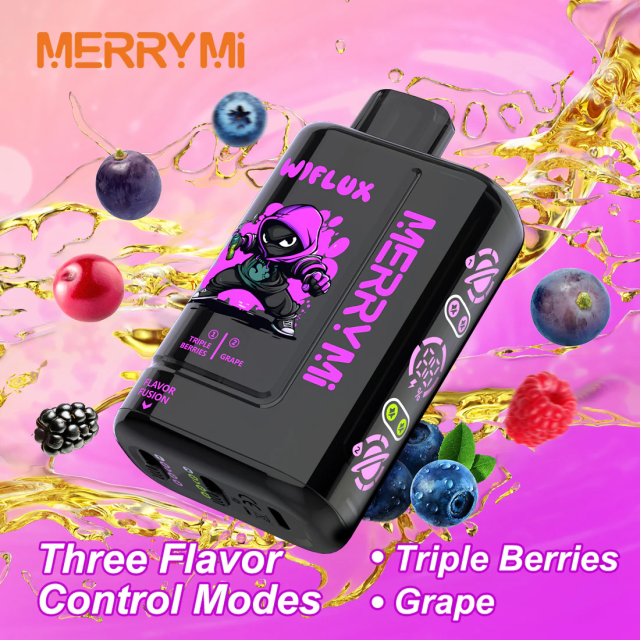 MerryMi Wiflux 24000