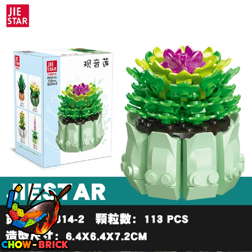 Jie Star 92314 Bonsai Set of 6 - ChowBrick Store