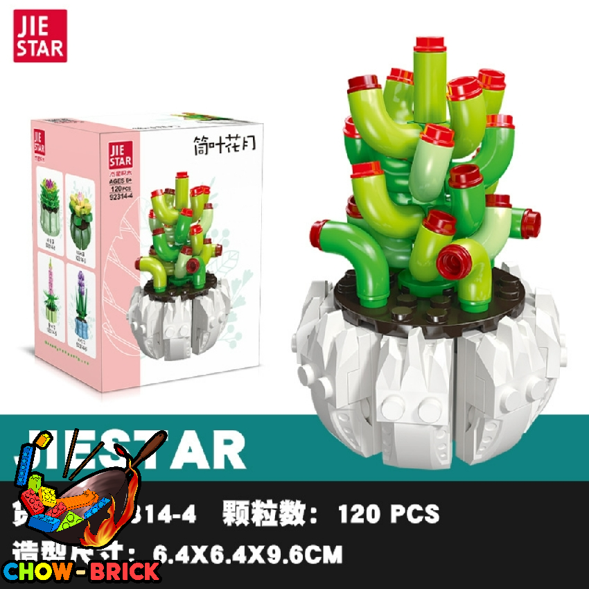 Jie Star 92314 Bonsai Set of 6 - ChowBrick Store