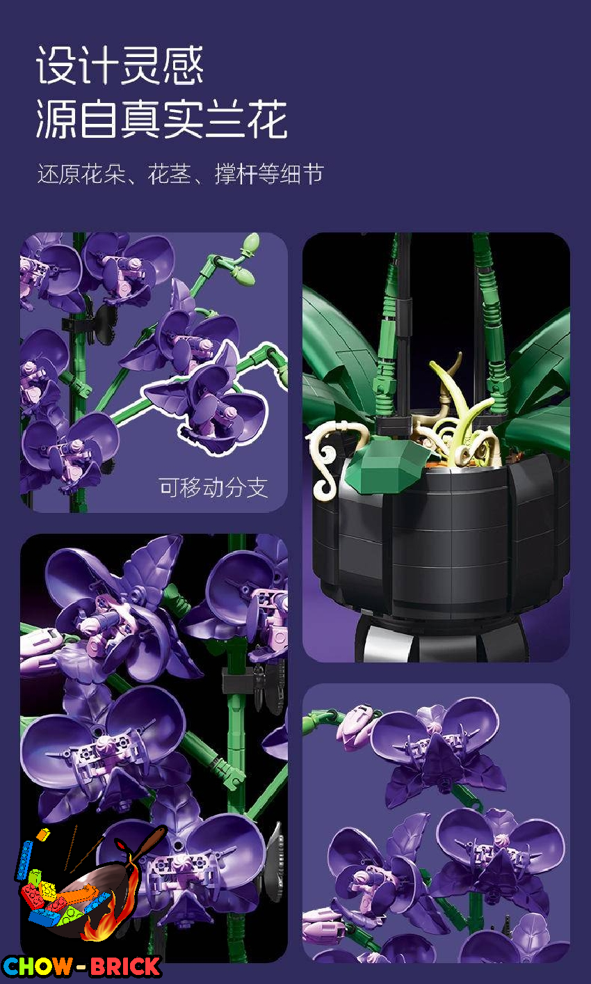 Jie Star JJ9235 Elegant Violet - ChowBrick Store