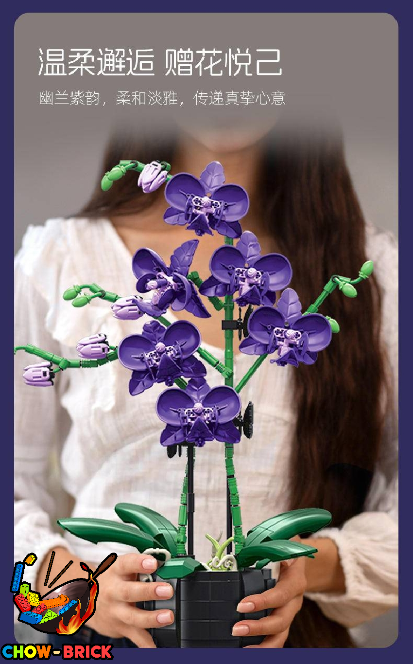 Jie Star JJ9235 Elegant Violet - ChowBrick Store