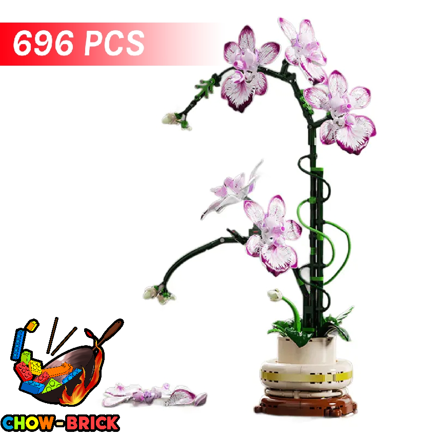 Lucy　0107 ♡ Home page – LUCY US