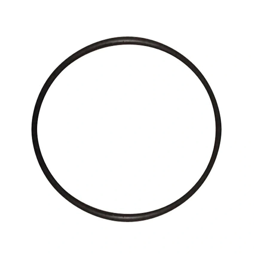 10000602 O-Ring 200 X 10 For Schwing Concrete Pump BPL 900 1200