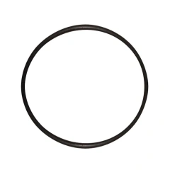 10000602 O-Ring 200 X 10 For Schwing Concrete Pump BPL 900 1200