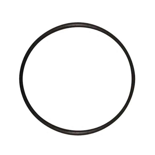 10000602 O-Ring 200 X 10 For Schwing Concrete Pump BPL 900 1200
