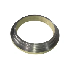 251231000 Wear Ring DURO22 For Putzmeister Concrete Pump