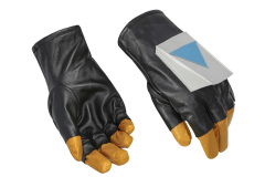 Gloves *2