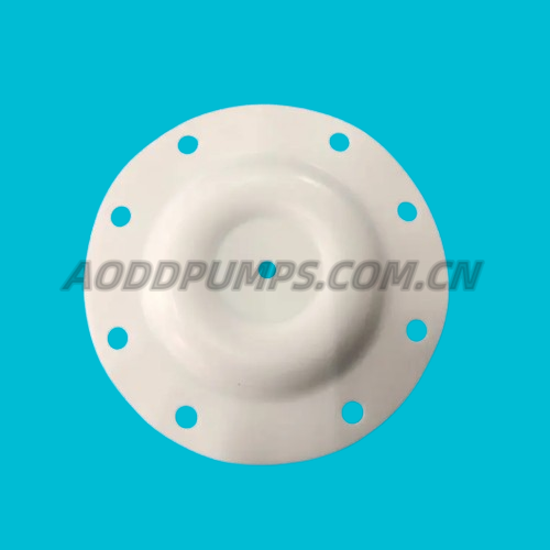 E505TF Versa-Matic Diaphragm PTFE