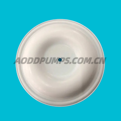 V224TF Versa-Matic Diaphragm PTFE