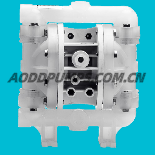 P100/PPPPPP/TNU/TF/PTV 1/2" Bolted Non-Metallic Diaphragm Pump Fit WILDEN