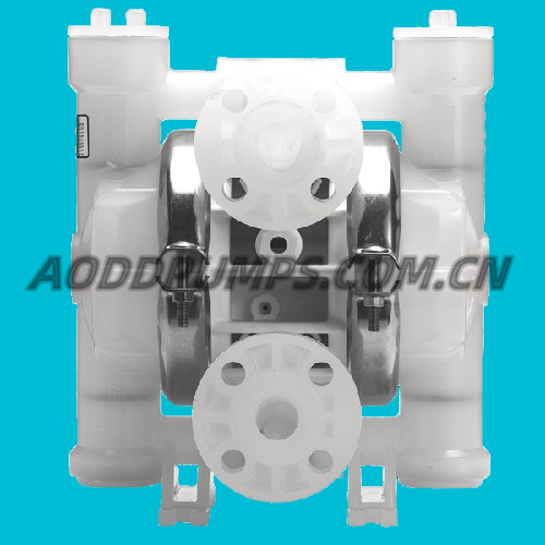 P2/PKPPP/WFS/WF/PTV/0400 1" Non-Metallic Diaphragm Pump Fit WILDEN