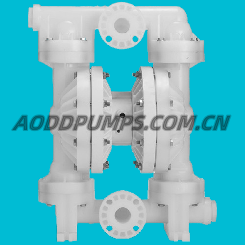 P800/PKPPP/TWS/TF/PTV 2" Bolted Non-Metallic Diaphragm Pump Fit WILDEN