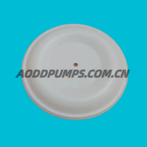 819.4329 Diaphragm PTFE Fit VERDERAIR VA50