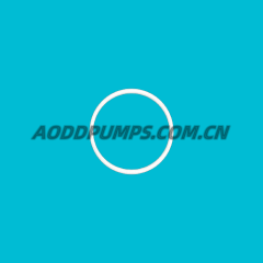 G058 O-Ring Valve Seat PTFE Fit Blagdon Pumps B25 X25