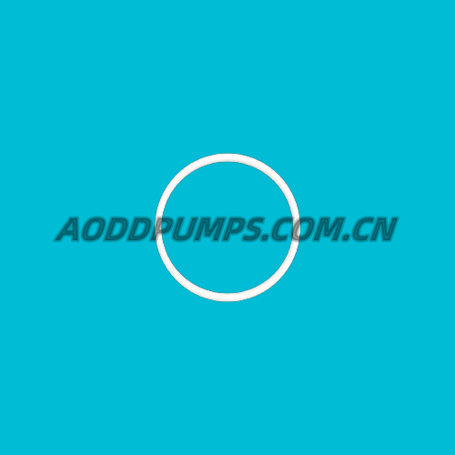 G058 O-Ring Valve Seat PTFE Fit Blagdon Pumps B25 X25