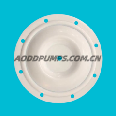 25-016 Diaphragm PTFE Fit Blagdon AODD Pumps