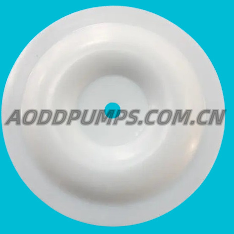 770933 Yamada Pumps Diaphragm PTFE