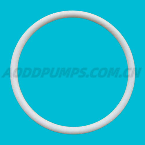 Y328-350 O-ring PTFE Parts Fit ARO