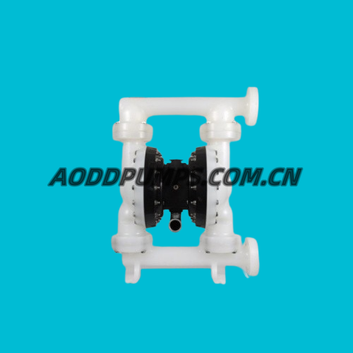 PD20P-FPS-PTT 2" Non-Metallic Diaphragm Pump Fit ARO