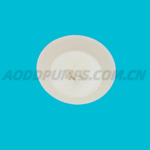 94102 Check Valve ARO