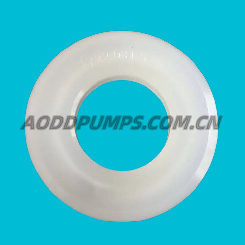 722-081-520 Seat Check Valve PVDF Fit Sandpiper Pumps 722.081.520