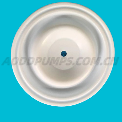 04-1040-55 Wilden PTFE diaphragm