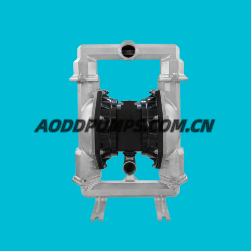 PD20A-BSS-STT-B AODD PUMPS Expert Stainless Steel Pump Fit ARO