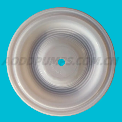 01-1010-55 Wilden PTFE diaphragm