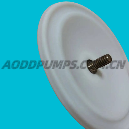 00-1030-55 wilden diaphragm PTFE