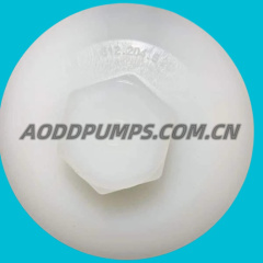 612.204.520 Outer Diaphragm Plate PVDF Fit Sandpiper
