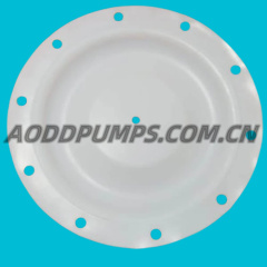 286-078-600|286.078.600 Diaphragm PTFE Fit Sandpiper Pumps