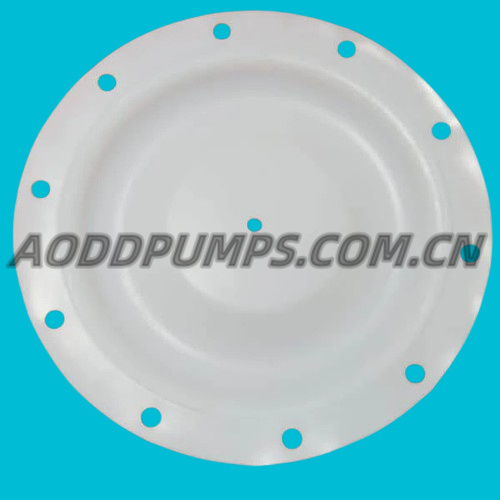 286-078-600|286.078.600 Diaphragm PTFE Fit Sandpiper Pumps