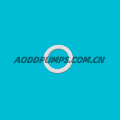 720.046.600 |720-046-600 O-Ring Fit Sandpiper