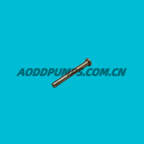 620.020.115|620-020-115 Stainless Steel Plunger Actuator Fit Sandpiper Parts