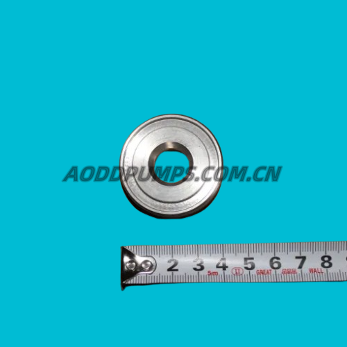 722.090.110 |722-090-110 Stainless Steel Ball Seat Fit Sandpiper Parts