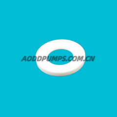 722.074.520| 722-074-520 PVDF Ball Seat fits Sandpiper Parts