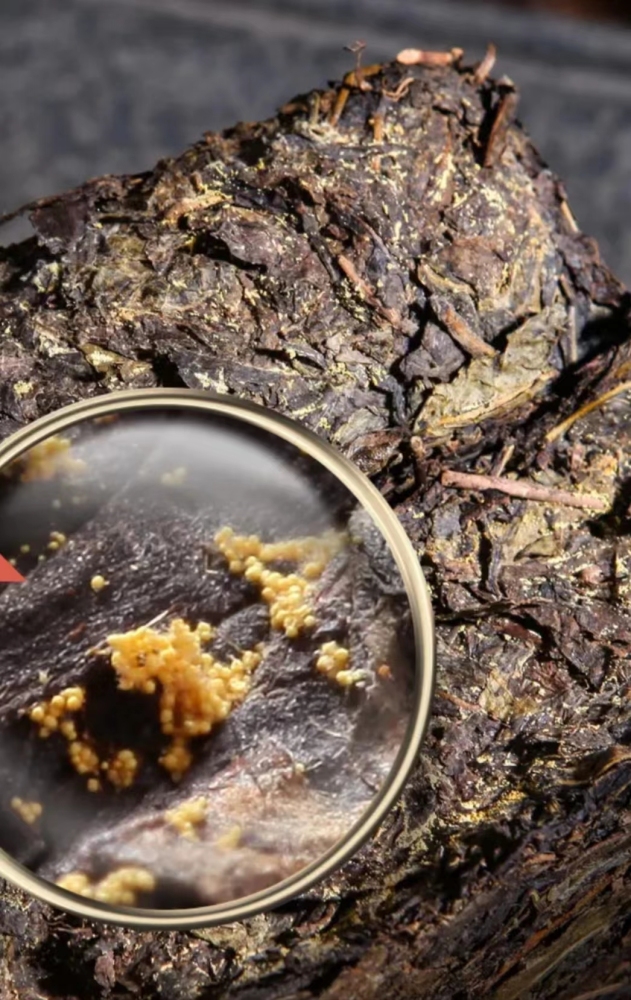 Black Tea Golden Flower Black Tea