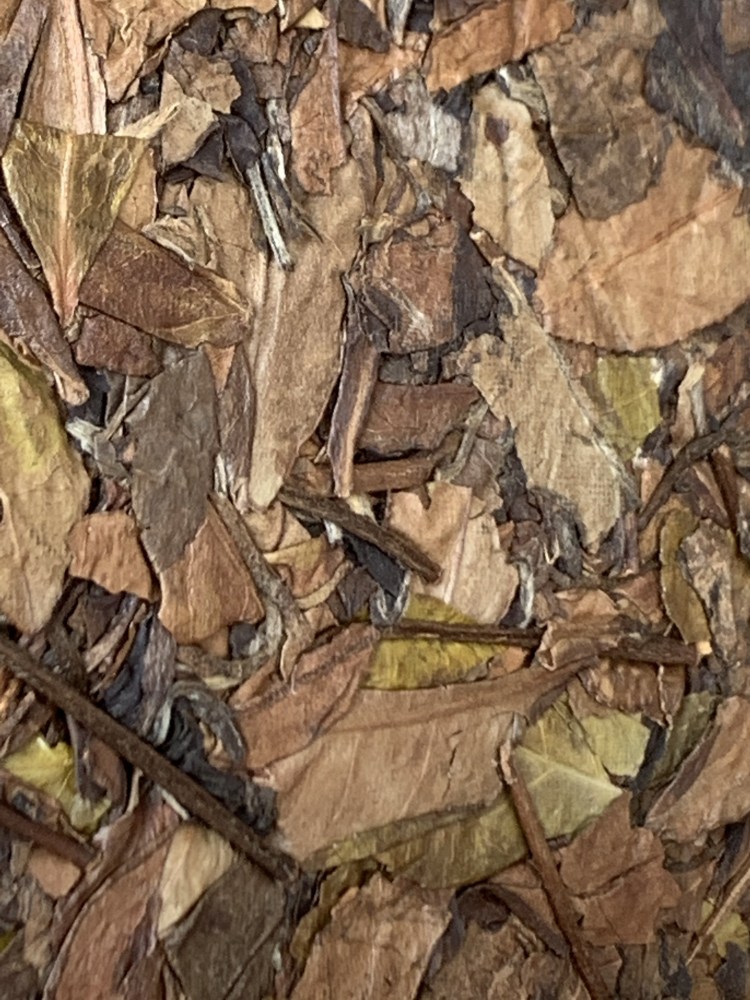 White Tea Shoumei Old White Tea